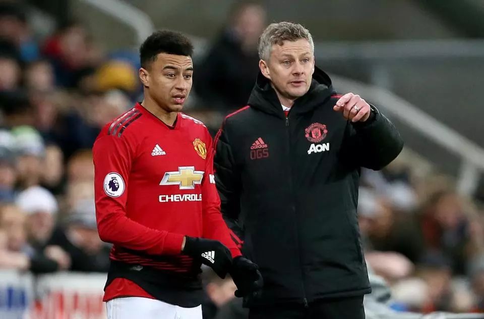 近日因一系 近日因一系